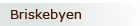 briskebyen