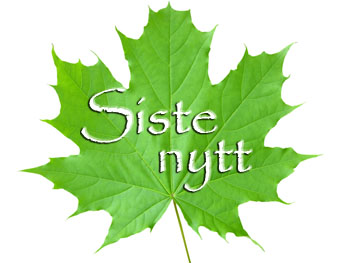 siste-nytt (42K)